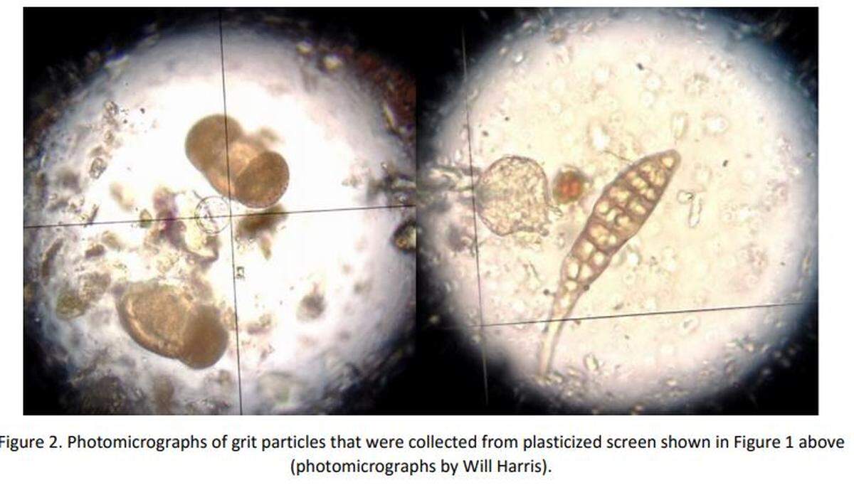 An image of particles collected from a fence on the Oceano Dunes appeared in a study about the presence of phytoplankton, and is credited to Will Harris.