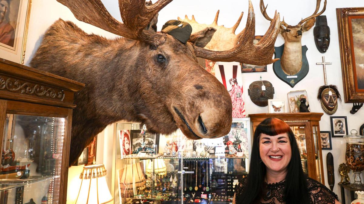 Erin Binger is the owner of Bizarre Antiques & Oddities with Bruce the Moose. The business is at the corner of Monterey Street and Johnson Avenue. Seen here on April 3, 2025.