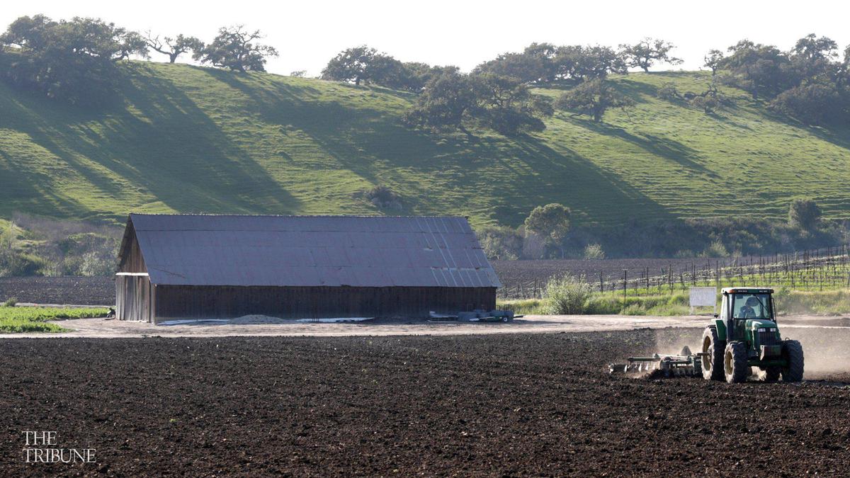 Talley Farms in rural Arroyo Grande.
