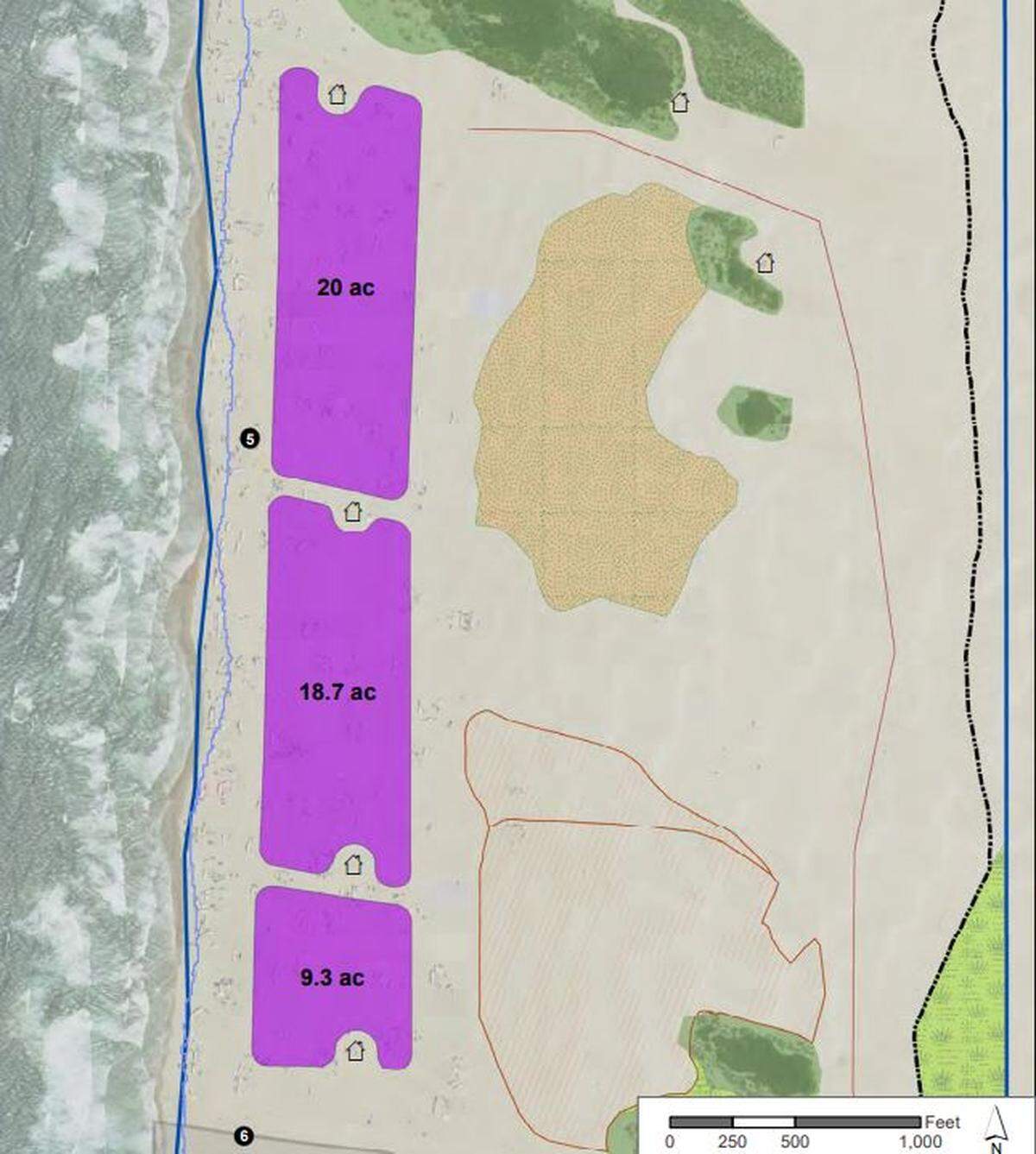 The purple area represents a potential foredune that would be closed off to riders to allow vegetation to take root. It’s about 48 acres between Marker posts 5 and 6.