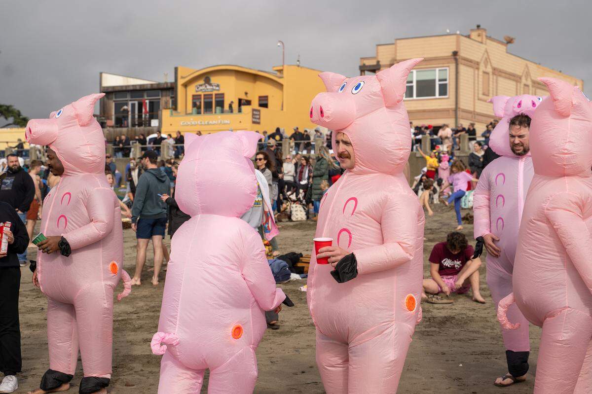 A group of divers dressed as inflatable pigs socialize before the annual Carlin Soulé Memorial Polar Bear Dip on Thursday, Jan. 1, 2026. The 46th annual dip drew thousands of divers even amid overcast and rainy weather.