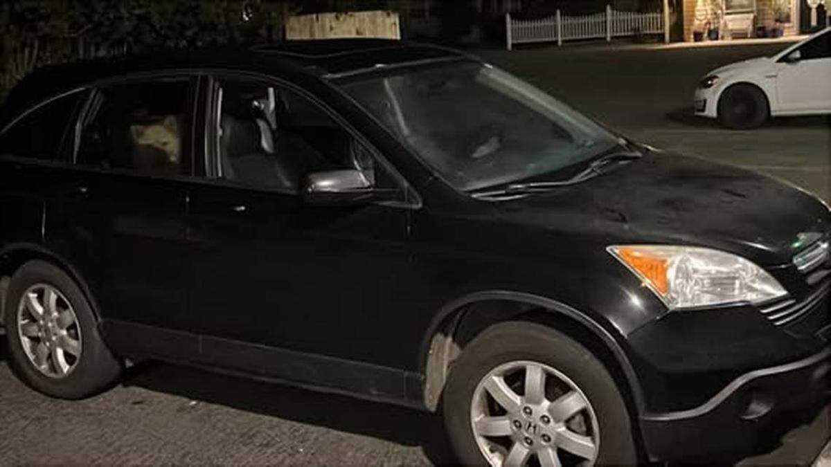 A Linn’s Restaurant owner called the police and the dog’s owner after seeing posts on Facebook that matched the car and dog’s description on Feb. 21, 2025.