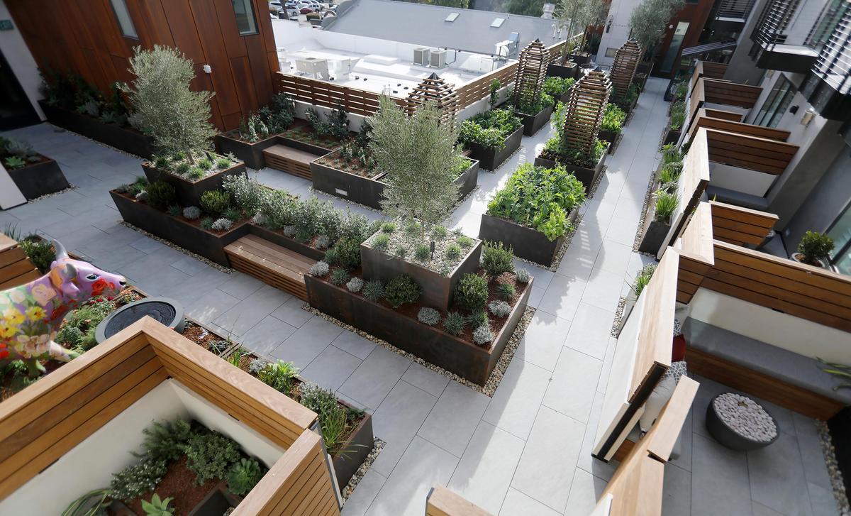 Guests can pick plants from Hotel Cerro’s edible garden, which includes parsley, lettuce, wasabi arugula, kale, radish and strawberries.