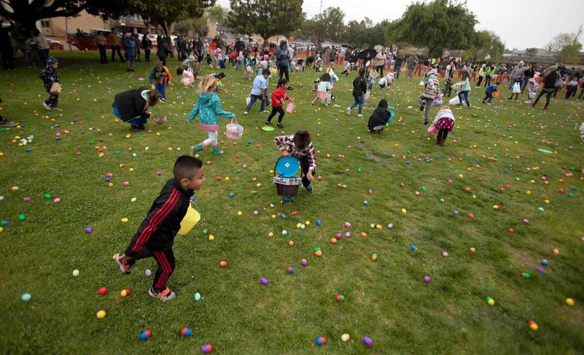 Hundreds of kids and parents braved a little rain to attend Arroyo Grande’s 33rd annual Easter Egg Hunt and Festival at Elm Street Park on Saturday, April 16, 2022. The free, time-staggered egg searches were held for ages 2 to adult. The kids could play in bounce houses, compete in a bunny hop and egg toss and snack on free hot dogs.