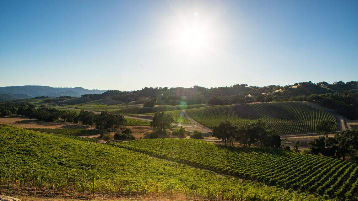 Halter Ranch Winery buys EOS Estate as it expands to Paso Robles’ east side