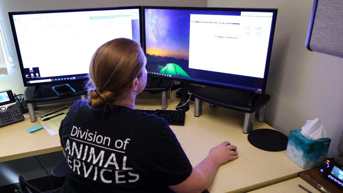 Field Officer Nina Moody works at the dispatch desk at San Luis Obispo County’s new Animal Services Center. The facility will provide a better experience for animals, clients and staff and replaces an outdated building that dates to the 1970s.