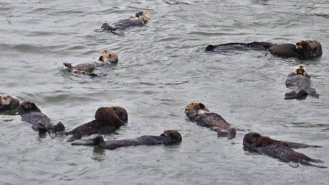 Was SLO County storm a drought buster? Here’s how weather affected rain totals, lake levels