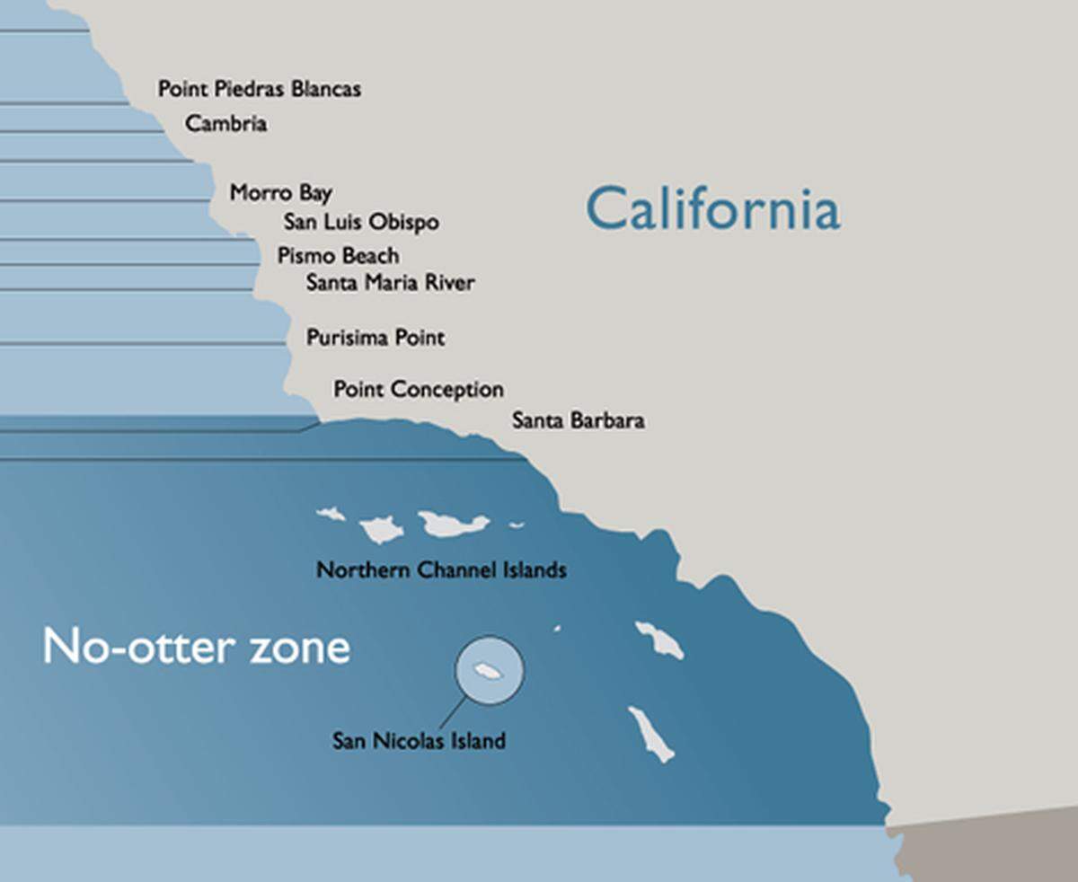 The No Otter Zone enacted in 1987 dictated that Fish and Wildlife Services would remove any otters found between Point Conception and the border of Mexico. The zone has since been eliminated and otters have slowly repopulated the area, which is part of the small mammal’s original habitat.