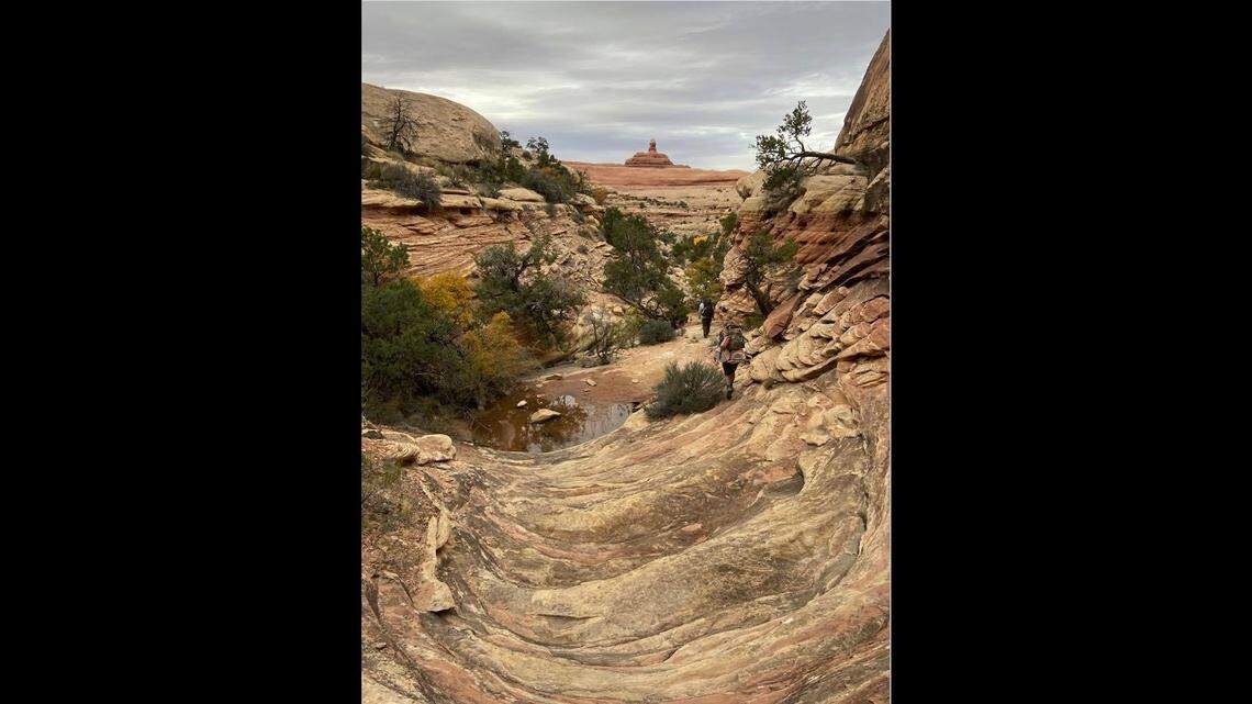 A new species of reptile may have been found at this spot in Utah’s Canyonlands National Park. The rare fossil is around 290 million years old.