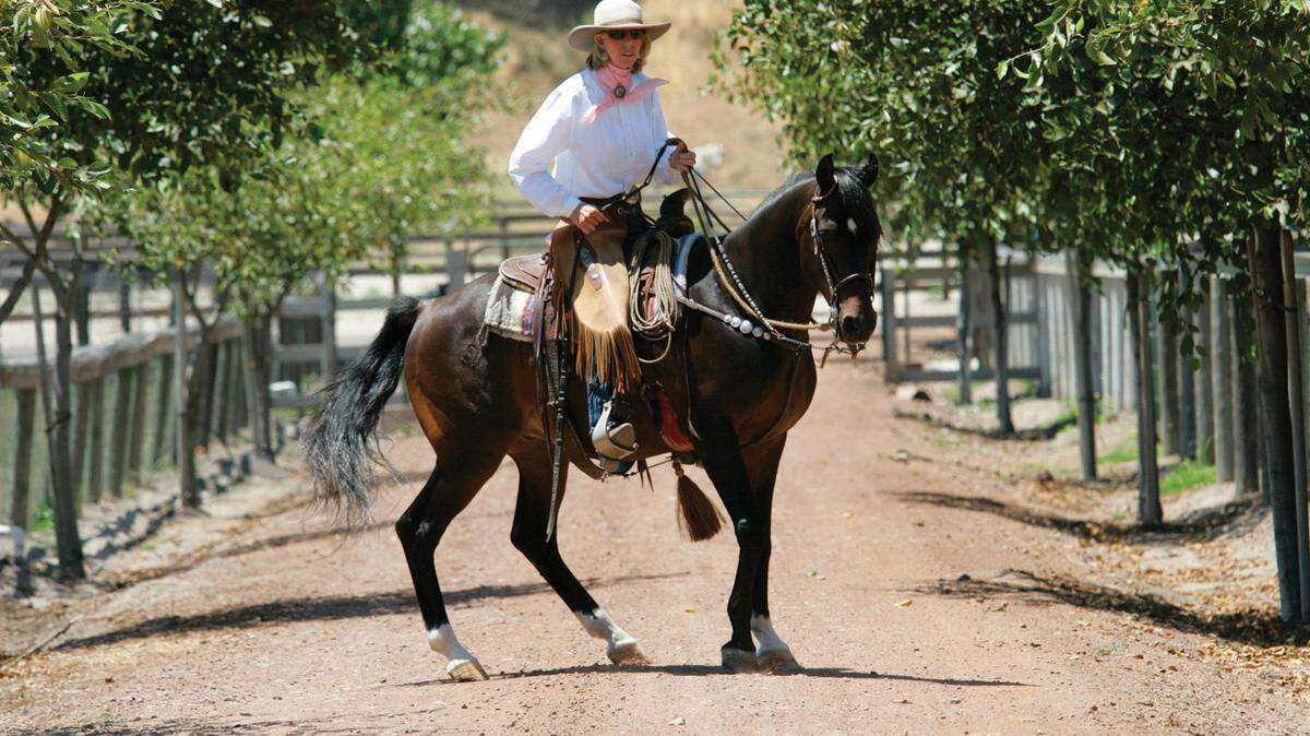 Sheila Varian has been raising award-winning Arabian horses on her ranch in Corbett Canyon for 60 years.