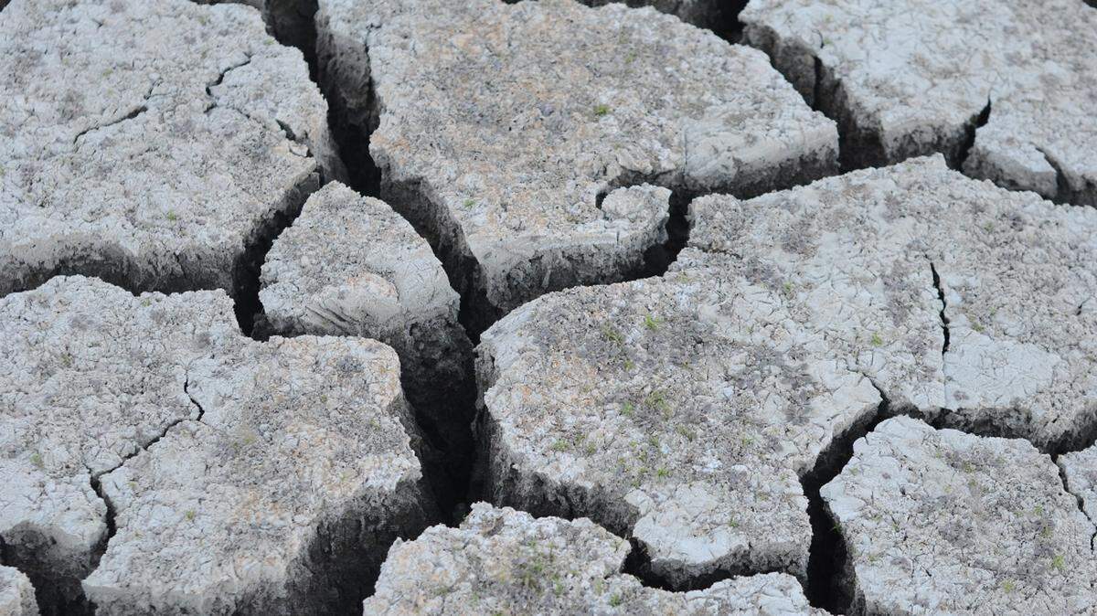 PG&E meteorologist John Lindsey took this photo of dry, cracked earth at Lake San Antonio in 2014.
