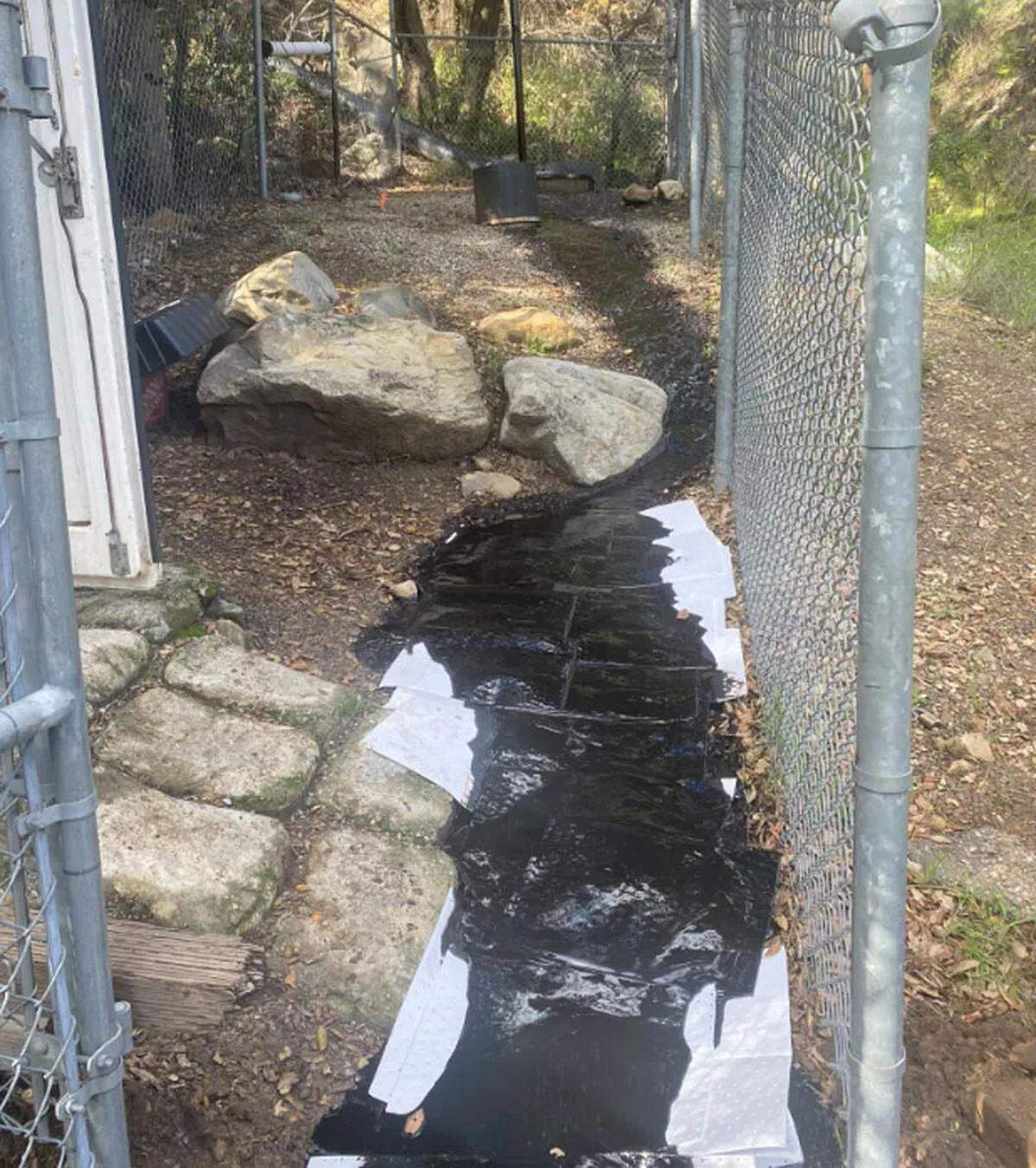 Absorbent pads are used to help clean up an oil leak in the Toro Creek area in western Carpinteria.