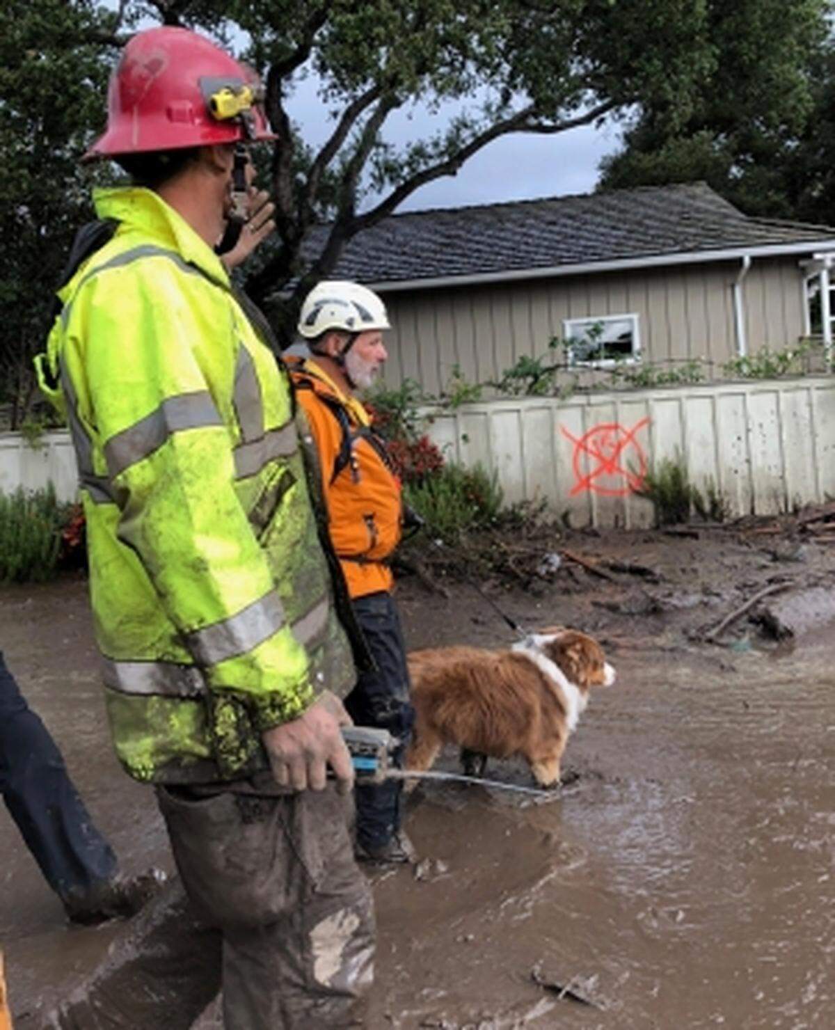 Search and Rescue Team member Rick Stein and his search dog, MacGyver, look for survivors after the Montecito debris flows.