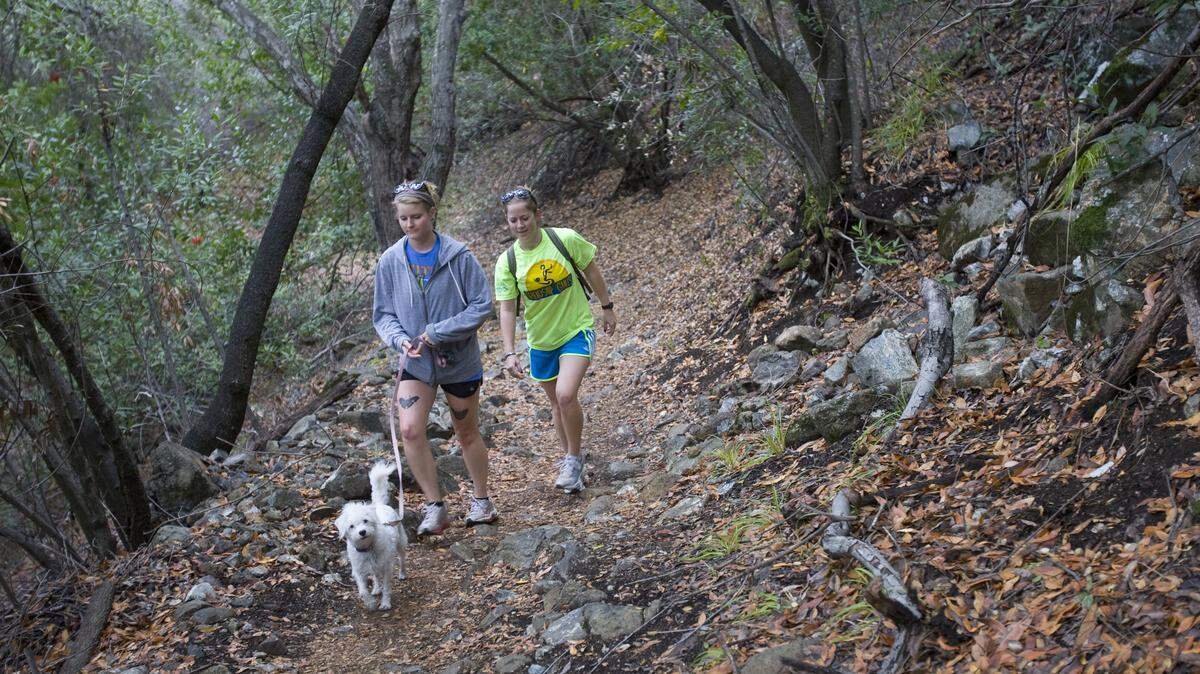 Katie Glines, left, Grace Babcock and Millie hike a trail in the Reservoir Canyon Natural Reserve.
