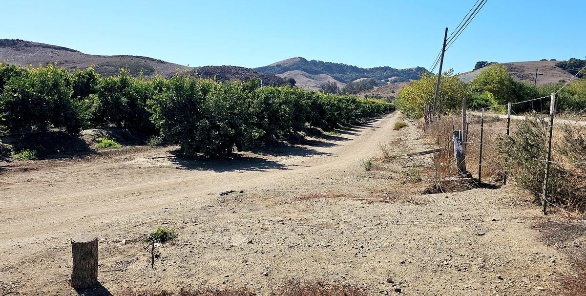 San Luis Obispo County is trying to complete the Bob Jones Trail that would link San Luis Obispo to Avila Beach by filling in the missing segment between the Octagon Barn and Ontario Road. The route features views of orchards off South Higuera Street.