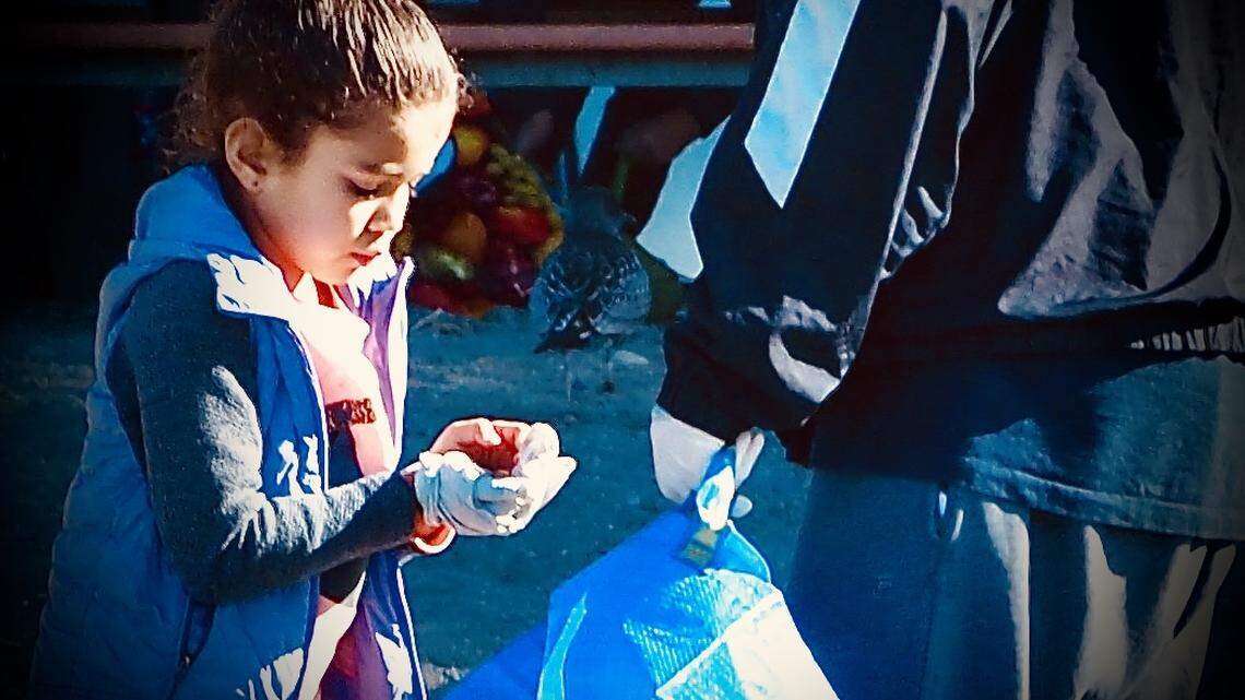 ‘A light to blot out all the negative’: Coastal Cleanup Day special for North Coast volunteers
