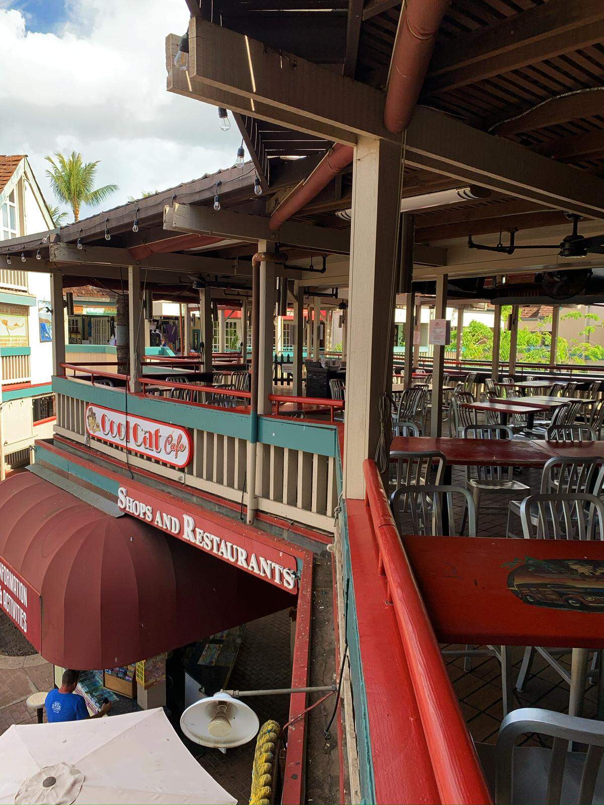 Cool Cat Cafe in San Luis Obispo is hosting a fundraiser for the Maui crew displaced by the Lahaina fires.