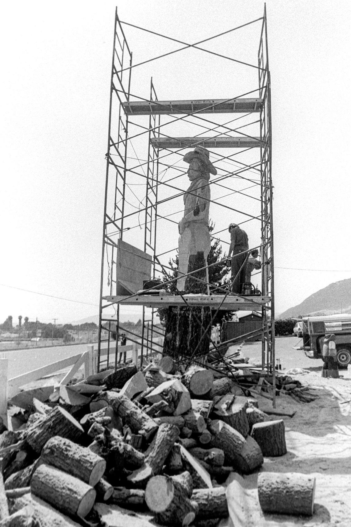 Fireplace-sized logs surround the tree as artist begin their sculpture of a cowboy at McLintocks Saloon and Dining House in Pimso Beach.