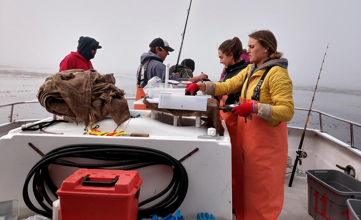 The California Collaborative Fisheries Research Program’s vessel departs Morro Bay Harbor on Friday, August 2, 2019, to conduct research on the Central Coast fish population. Pictured are, from left, charter boat deckhand Manny and Cal Poly research technicians Grant Waltz, Alicia Ellingson, Theresa Bersin and Grace Willett.