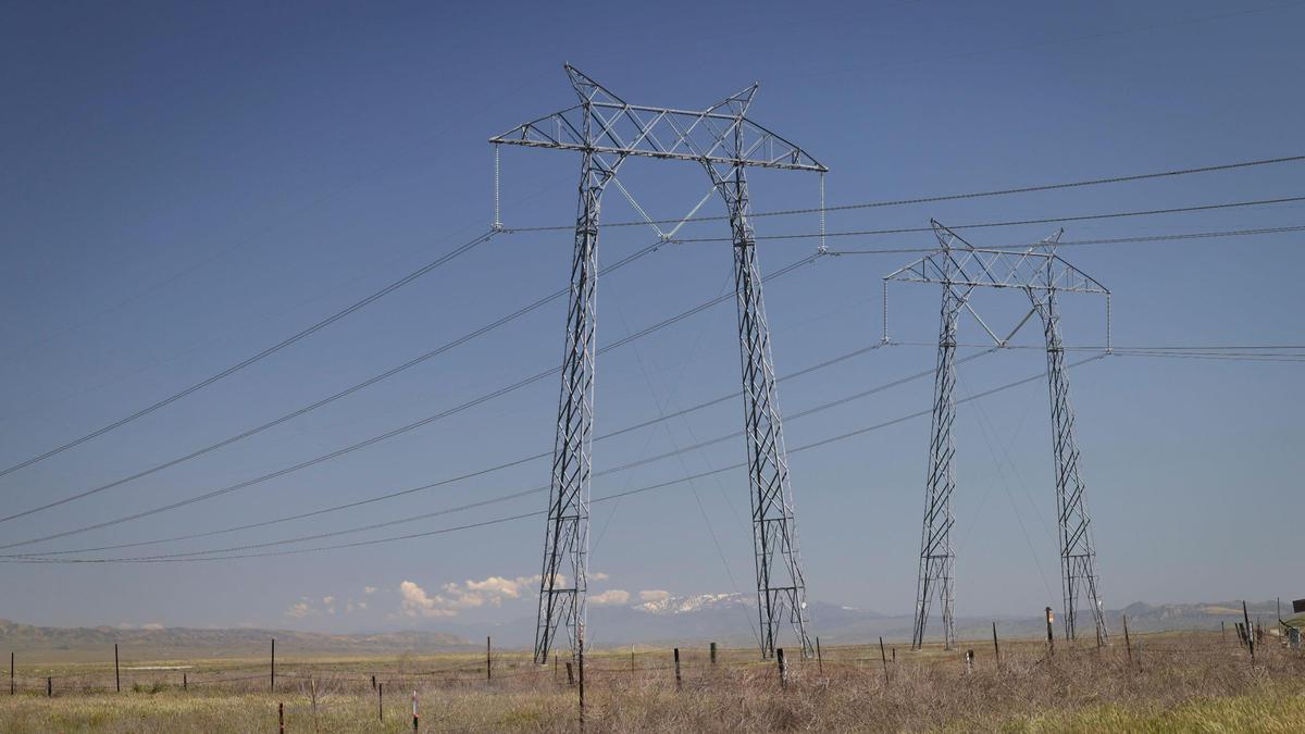 Power lines from Diablo Canyon nuclear power plant cross Soda Lake with Mt. Pinos covered in snow in the distance on April 3, 2024, as wildflowers bloom on the Carrizo Plain.