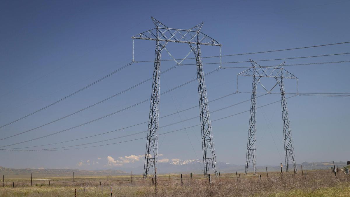Power lines from Diablo Canyon nuclear power plant cross Soda Lake with Mt. Pinos covered in snow in the distance on April 3, 2024, as wildflowers bloom on the Carrizo Plain.