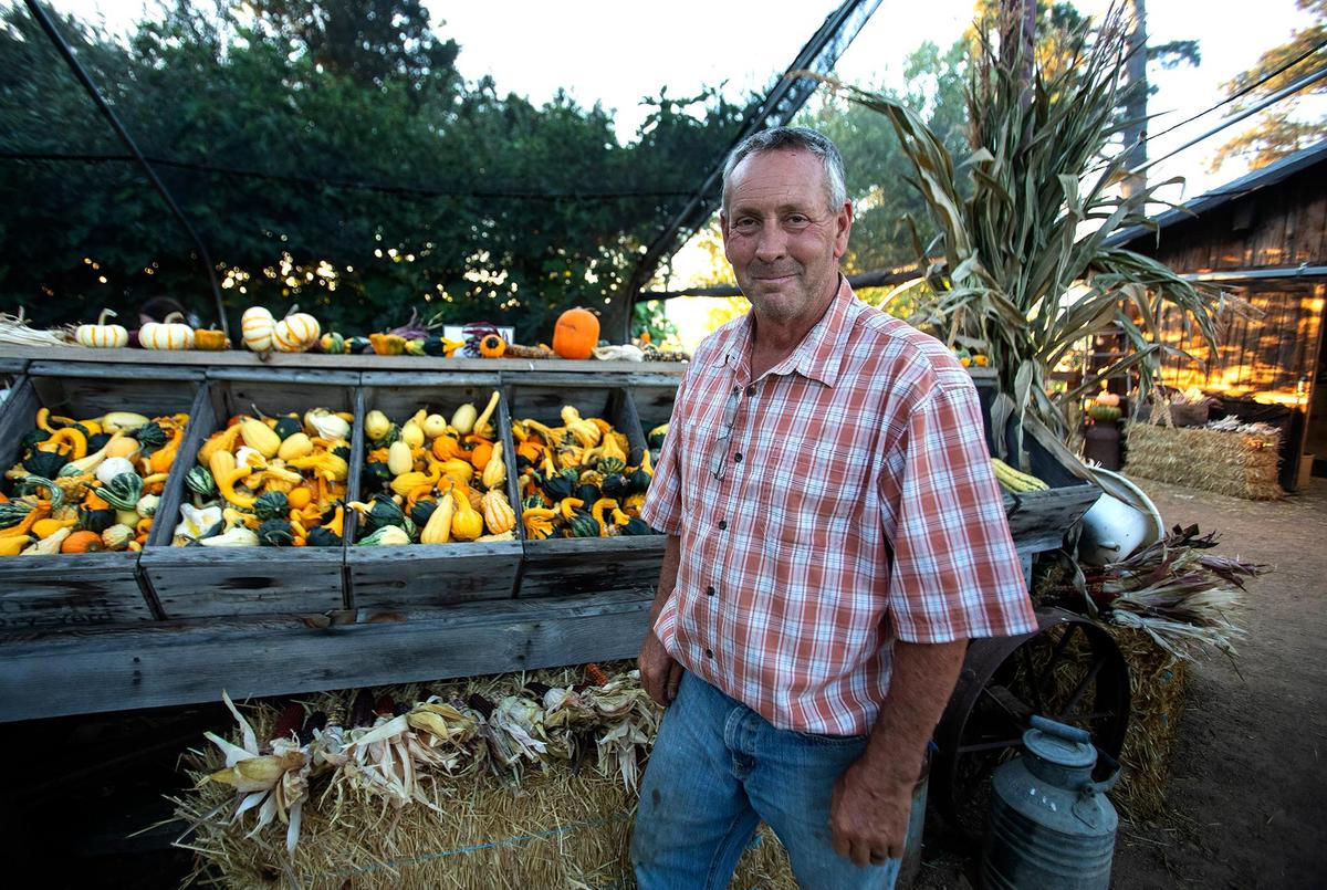Shawn Calloway co-owns Brookshire Farms, with his wife Gretchen, located on Los Osos Valley Road at the edge of San Luis Obispo city limits. He sells pumpkins, and a harvest of gourds, squash, fruits and vegetables and much, much more.