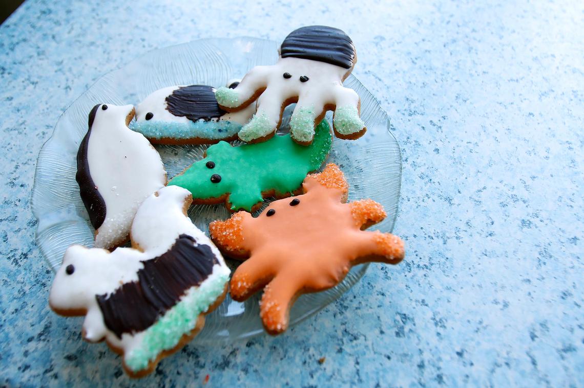 Cute and colorful cookies. La Parisienne in Morro Bay is a French bakery is serving up flaky pastries, iced cookies and hearty sandwiches, all at an affordable price for locals and tourists alike.