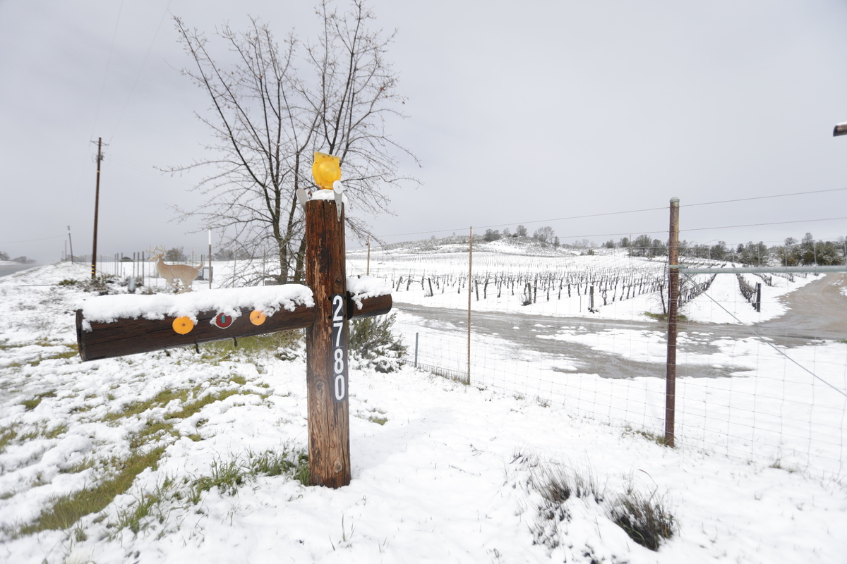 Fresh snow was seen no Webster Road outside of Creston and La Panza Road.