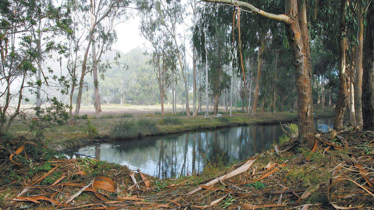 The Sweet Springs Nature Preserve in Los Osos.
