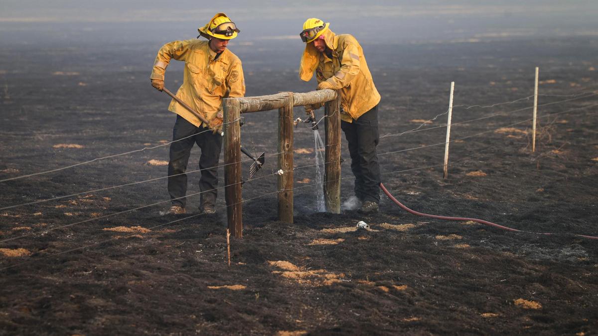 Monterey County firefighters Jonathan Davis, left, and Ryan Cahalan extinguish smoldering wood posts on a cattle fence along Soda Lake Road after the Madre Fire burned through the area on July 3, 2025.