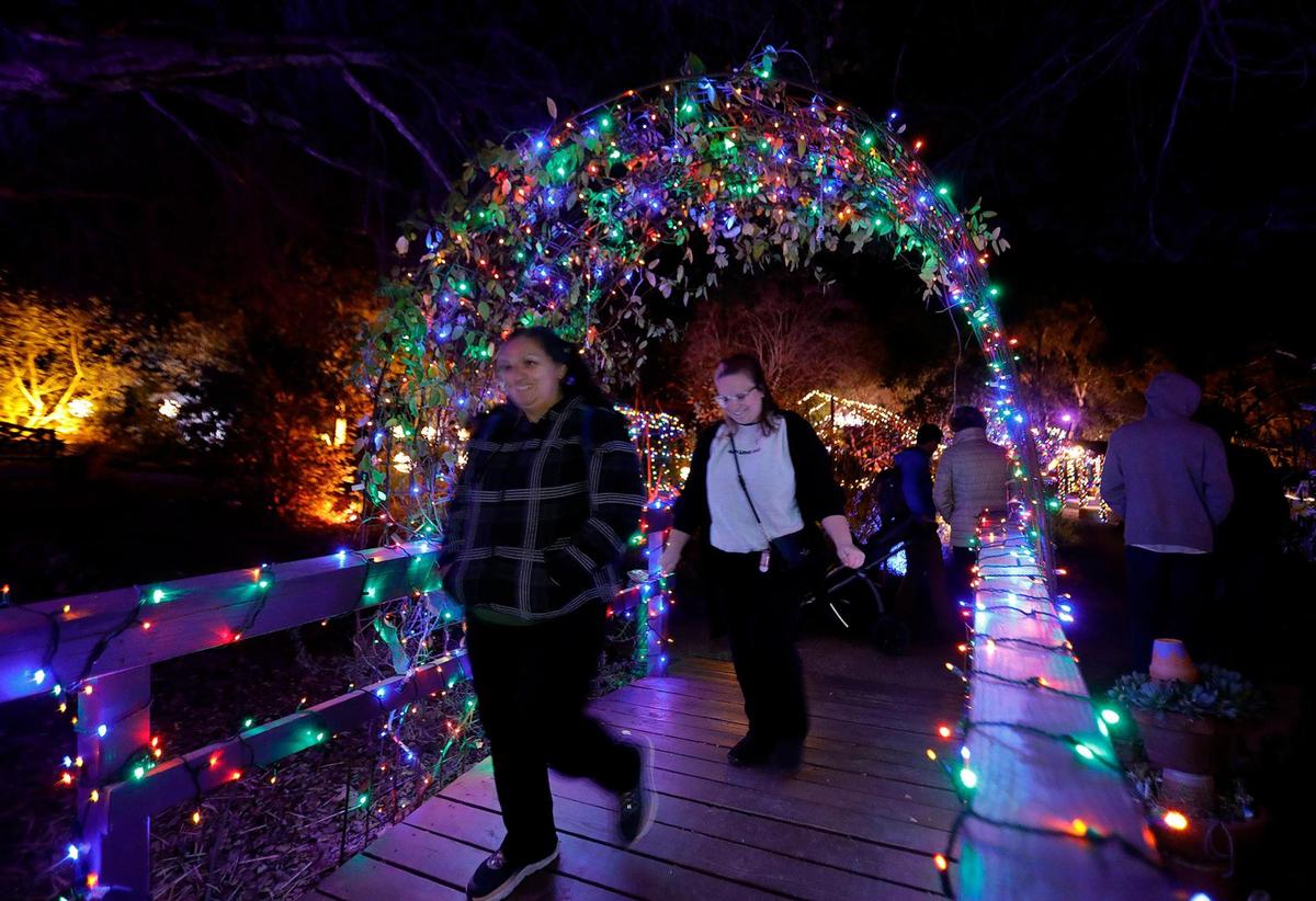 Erica Reddell, Cambria, and Angie Reddell of Campbell take a walk over the lighted bridge. The SLO Botanical Garden has a new event called Nature Night. People can walk through an immersive outdoor holiday light and art exhibit, enjoy hot food and beverages.