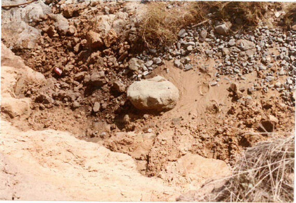 A Coca-Cola can, seen at left, was found at the scene of the murder of Dorothy “Toby” Tate on Nov. 15, 1983. Forensic analysis allowed the San Luis Obispo County Sheriff’s Office to solve the cold case over 40 years later.