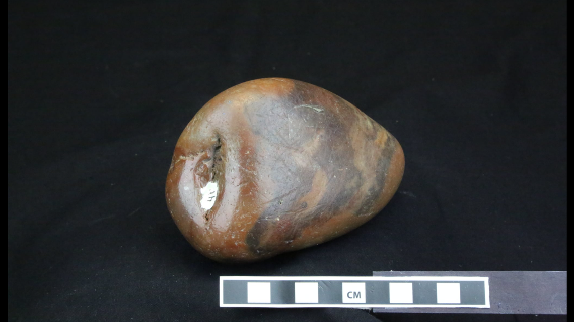 Gastroliths are “stomach stones or gizzard stones” found in the digestive tract of some prehistoric animals that do not chew their food.