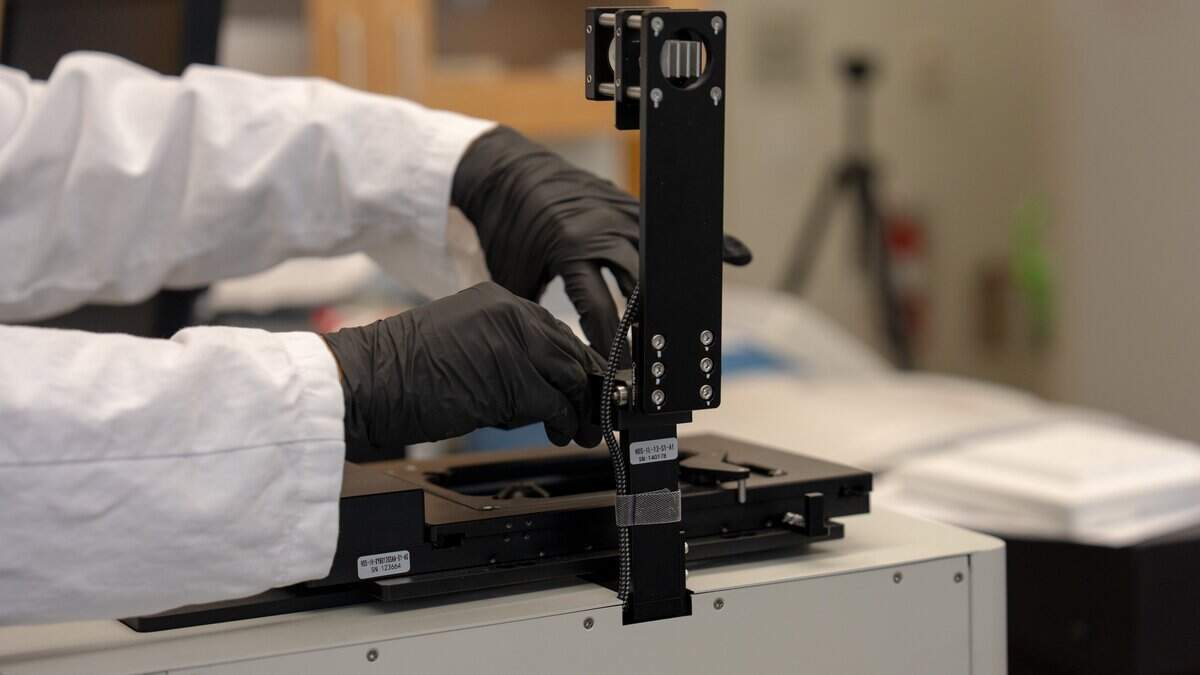 Fourth year biological science major Grace Montgomery sets up a microscope at Cal Poly on June 24, 2026. Synthetic cells are manufactured in batches of millions in labs, and can be created to accomplish specific functions.