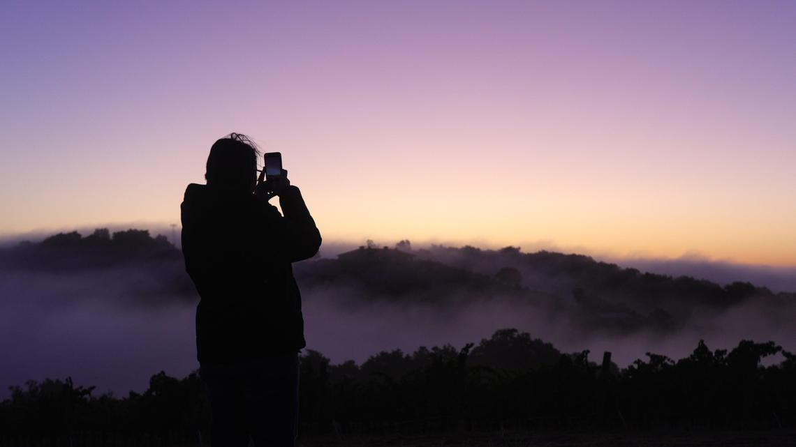 Maggie Tillman with Alta Colina in Paso Robles takes an cell phone photo at sunrise as the winery harvests wine grapes just before dawn in September.
