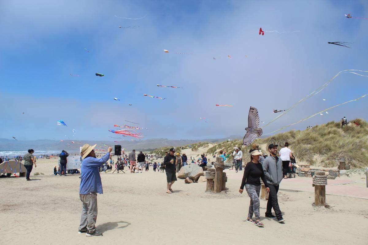 Don, a Morro Bay Kite Festival attendee, tries out a new owl kite he purchased from Beachfront Kites, Surreys and More on Saturday, April 30, 2022.