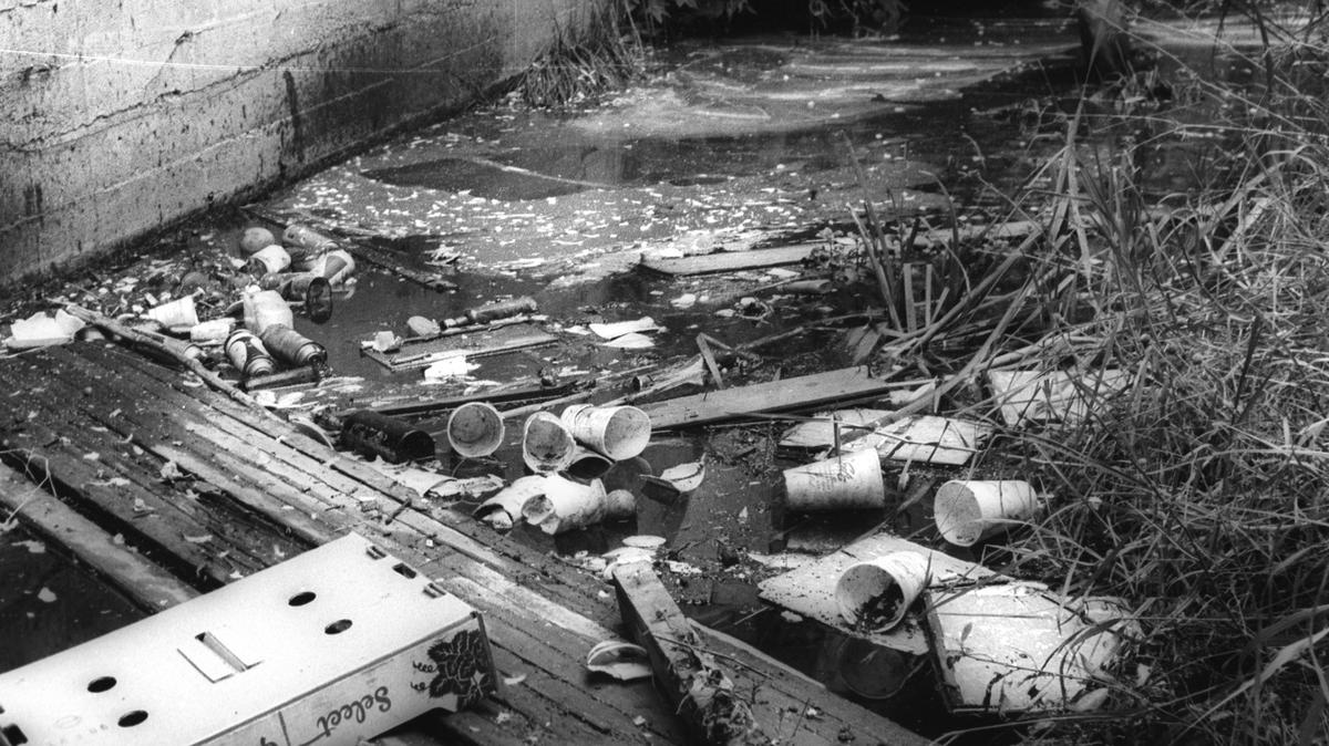 Howard Martin, Fish and Game warden, stands in San Luis Obispo Creek in October 1966 where the creek flows through the downtown heart of the city, pointing to the trash and garbage which makes the stream an “open sewer.”