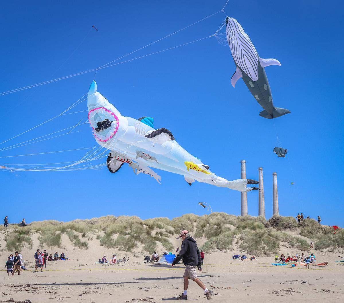 The Morro Bay Kite Festival returned on Saturday, April 30, 2022, after a two-year hiatus. The festival was first created about 16 years ago by local kite shop owner Shaun Farmer.