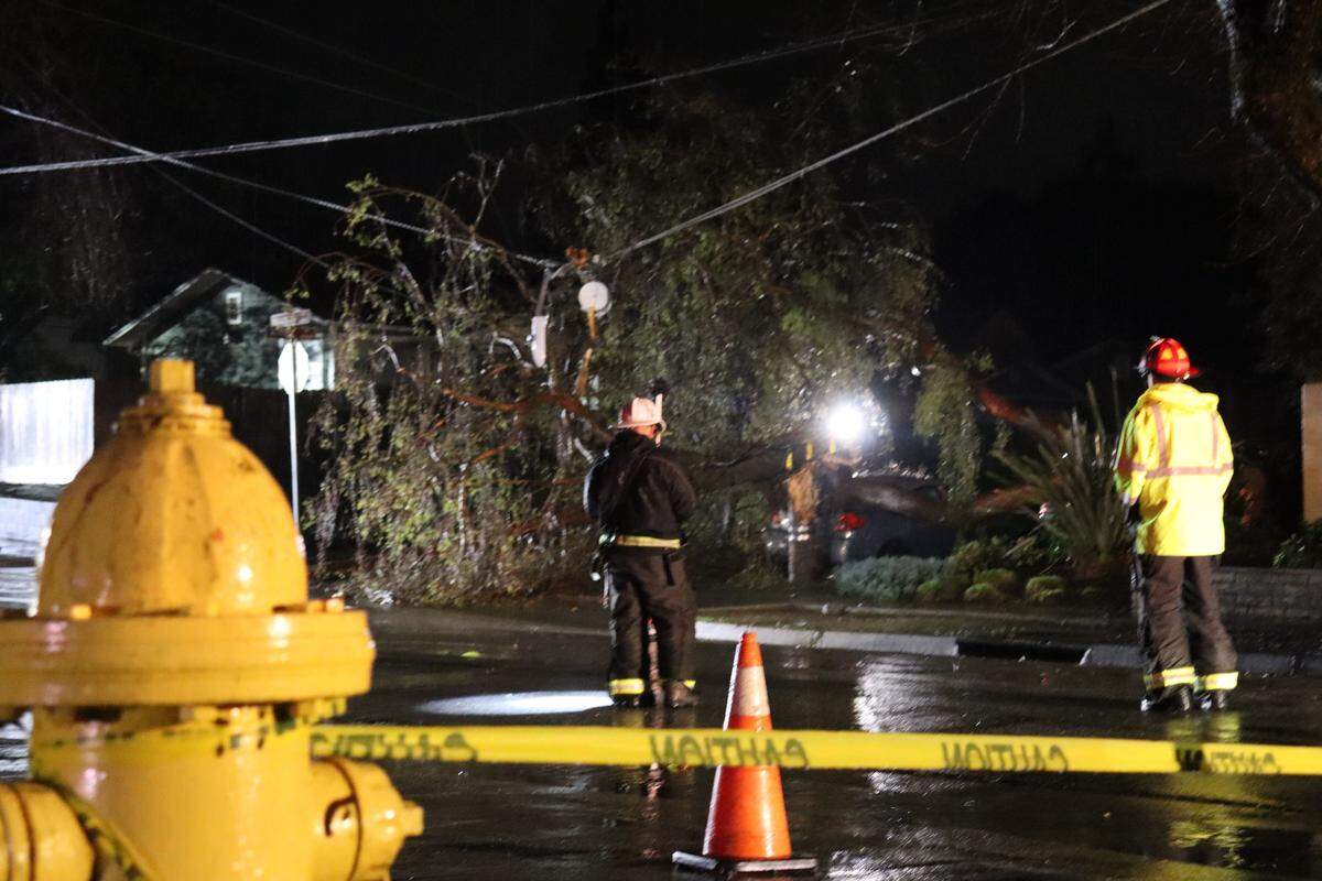 A tree fell into a power pole on South Street in San Luis Obispo on Feb. 17, 2026, as a severe thunderstorm hit the Central Coast.