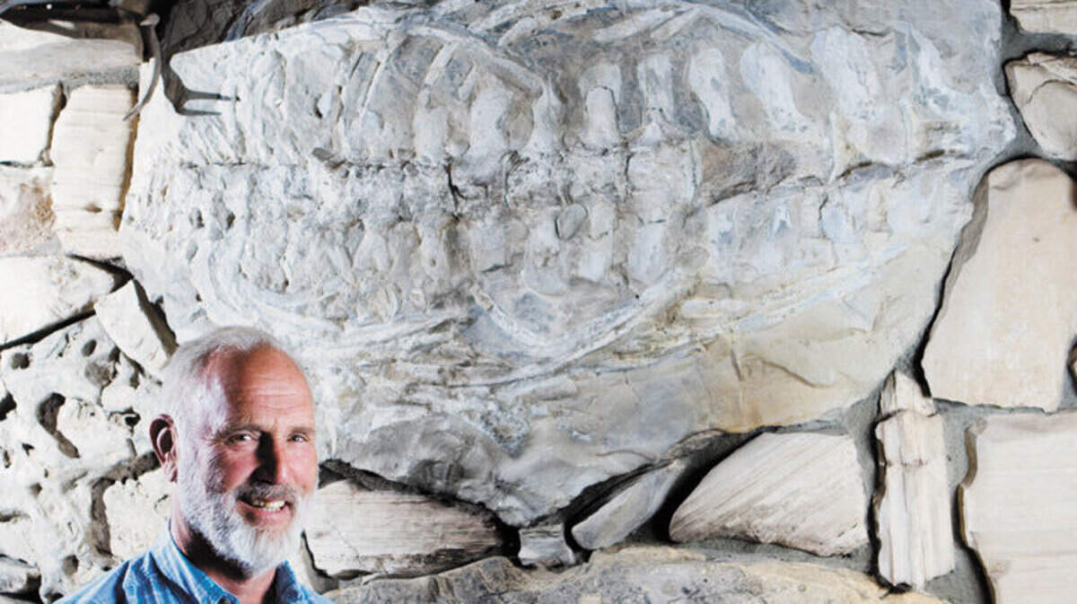 Rex Swan has a whale calf fossil from the Templeton hills over his mantle. It is estimated to be 30 million years old.
