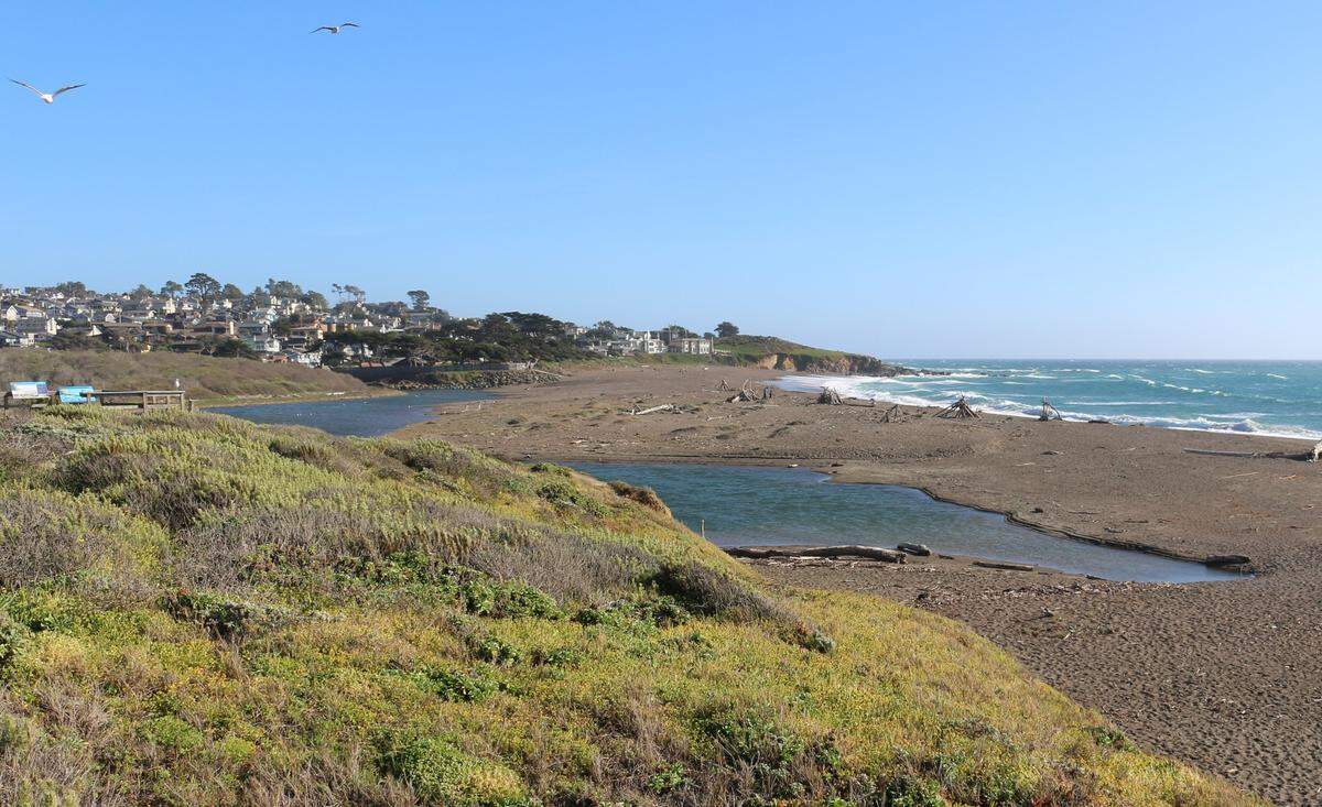 The Santa Rosa creek does not reach the Pacific Ocean as of this picture taken March 9. Drought conditions impacting the region mean little precipitation has fallen here over the past few months. When the creek does not reach the ocean, steelhead trout, a species listed as threatened under the federal Endangered Species Act, cannot swim upstream from the ocean spawn.
