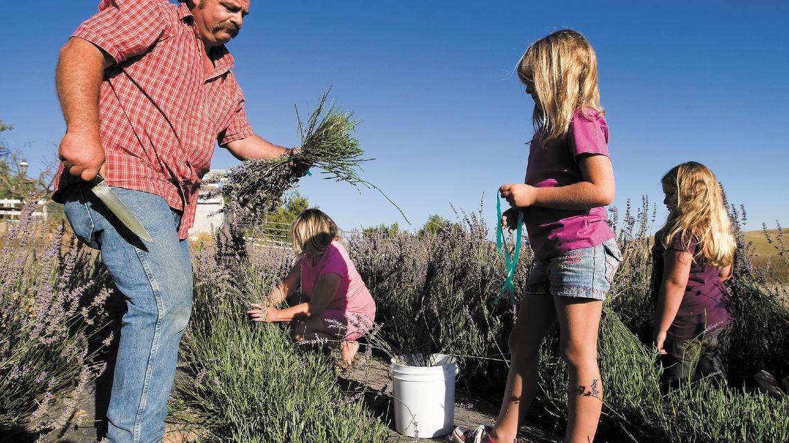 San Luis Obispo County families showing signs of stress