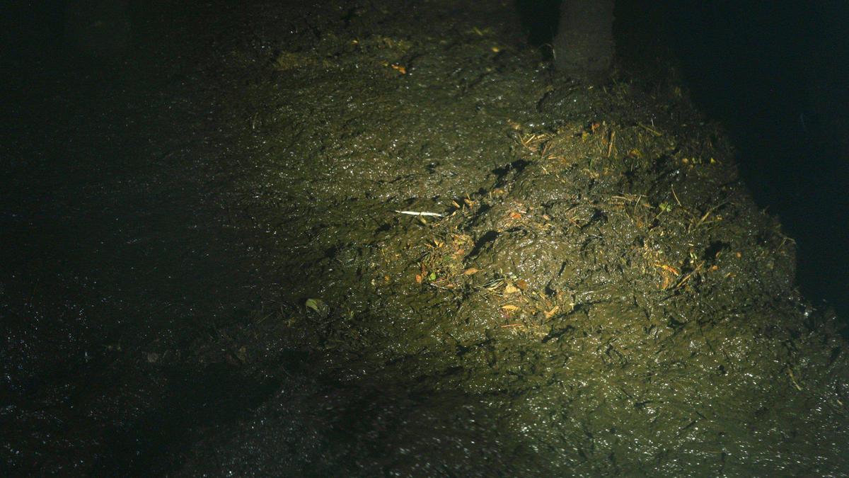 Green waste spends 14 days at 131 degrees in the digester, seen here on Oct. 13, 2023. Biogas produced during the decomposition process is harvested to create enough electricity to power 600 homes.