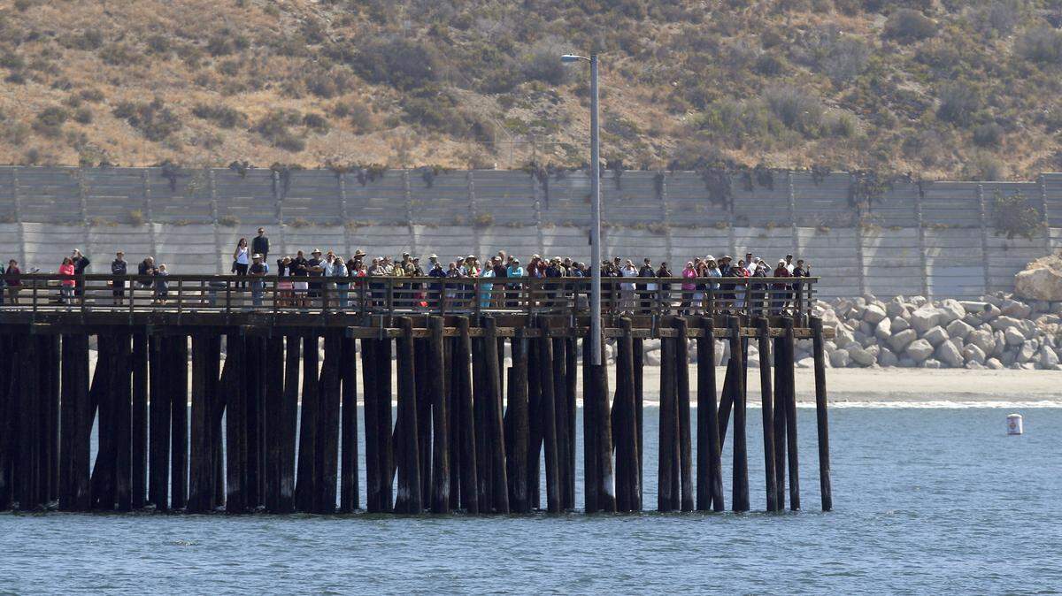 Around 20 humpback whales were feeding in and around the Avila Beach and Cal Poly piers on Monday, June 15, 2015, drawing large crowds.