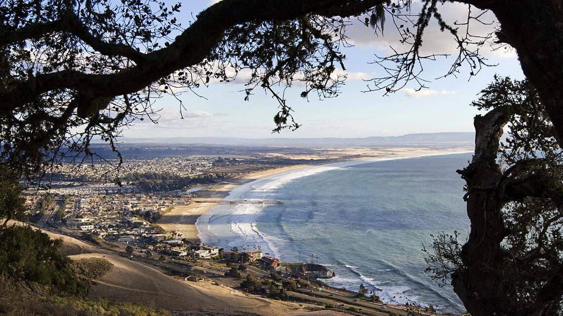 An oak tree frames the view from the proposed 900-acre Pismo Preserve.