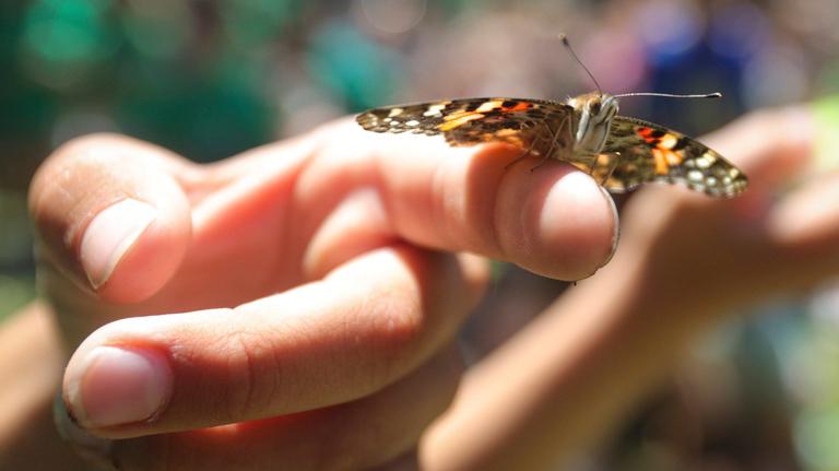 Outdoor education is ‘vital sanctuary’ for SLO County students. Could it be cut?