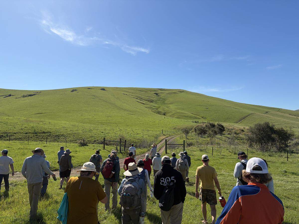 Volunteers walk to Walters Creek to build beaver dam analogs.