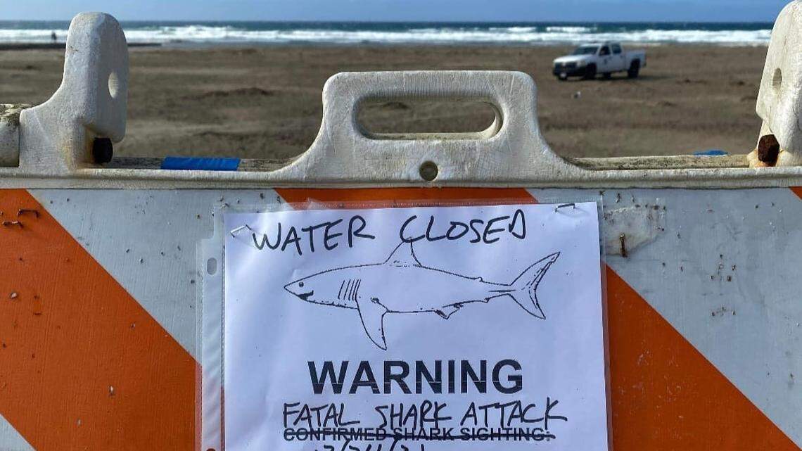 California has recorded 235 shark attacks in 75 years. Here’s what to know