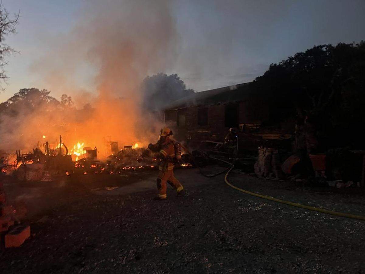 Cal Fire saved a litter of kittens as a home burned to the ground near Morro Bay on Oct. 2, 2023.