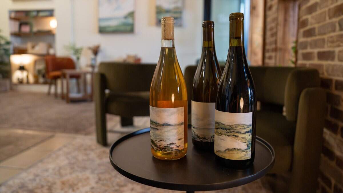 A trio of ídola wine co.'s bottled wine sits on display at the Creamery in San Luis Obispo on July 14, 2026. The company specializes in producing and selling organic, all-natural wines.
